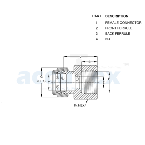 Female Connector