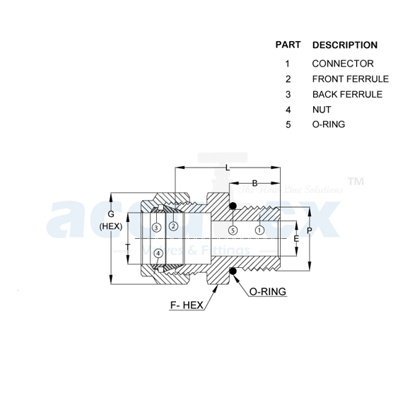 Male Connector