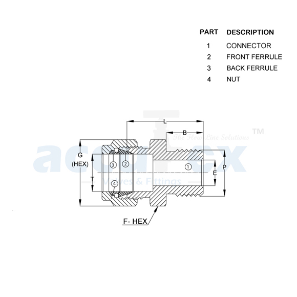 Male Connector