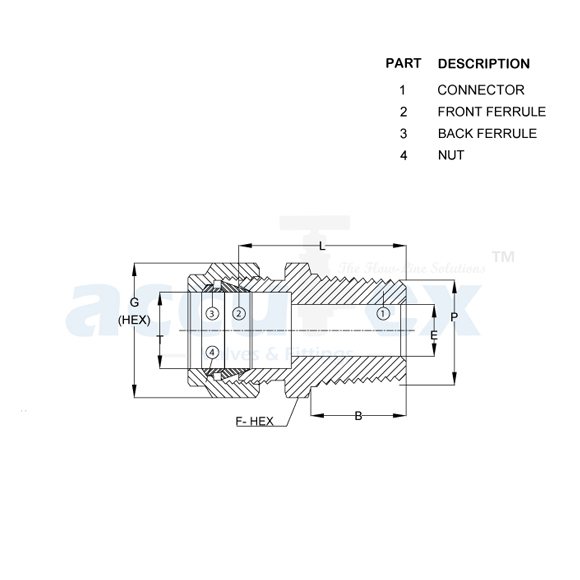 Male Connector
