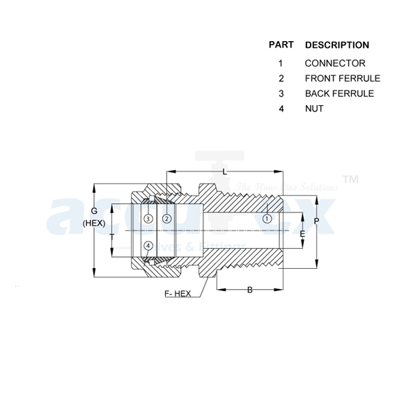 Male Connector