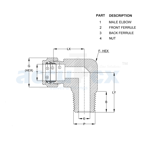 Male Elbow