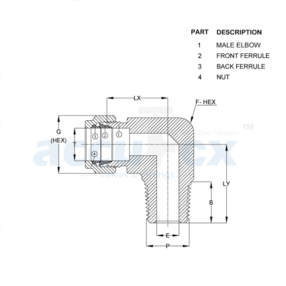 Male Elbow