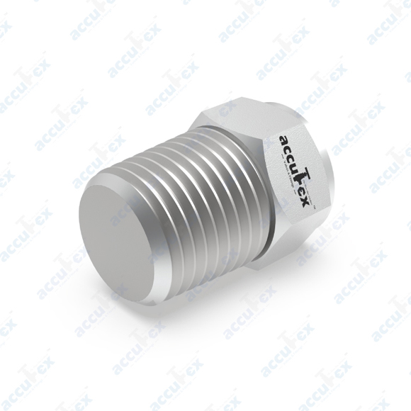 Pipe Plug